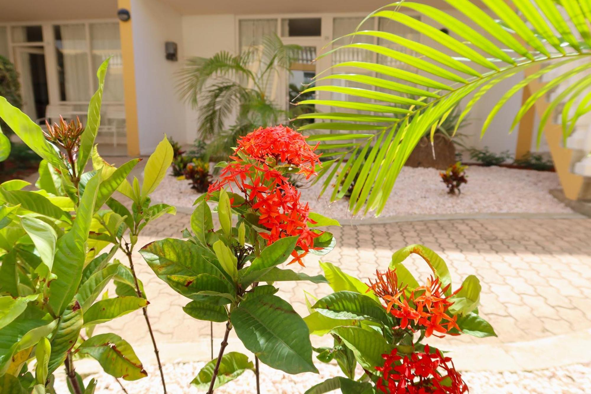 Montana Eco Resort Aruba Oranjestad Bagian luar foto